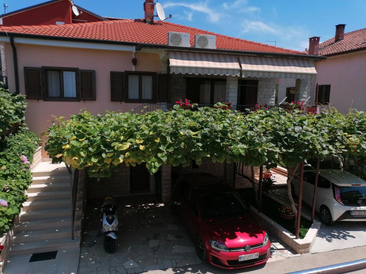 Apartman Bruna Novigrad  Exterior photo
