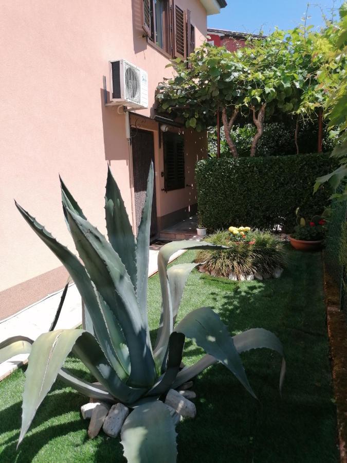 Apartman Bruna Novigrad  Exterior photo